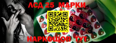 молекула духа Новодвинск