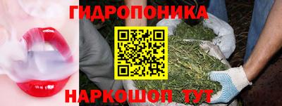 марихуана Новозыбков