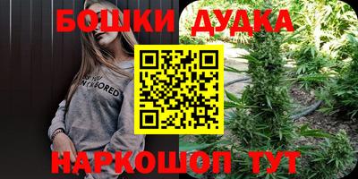 молекула духа Новодвинск