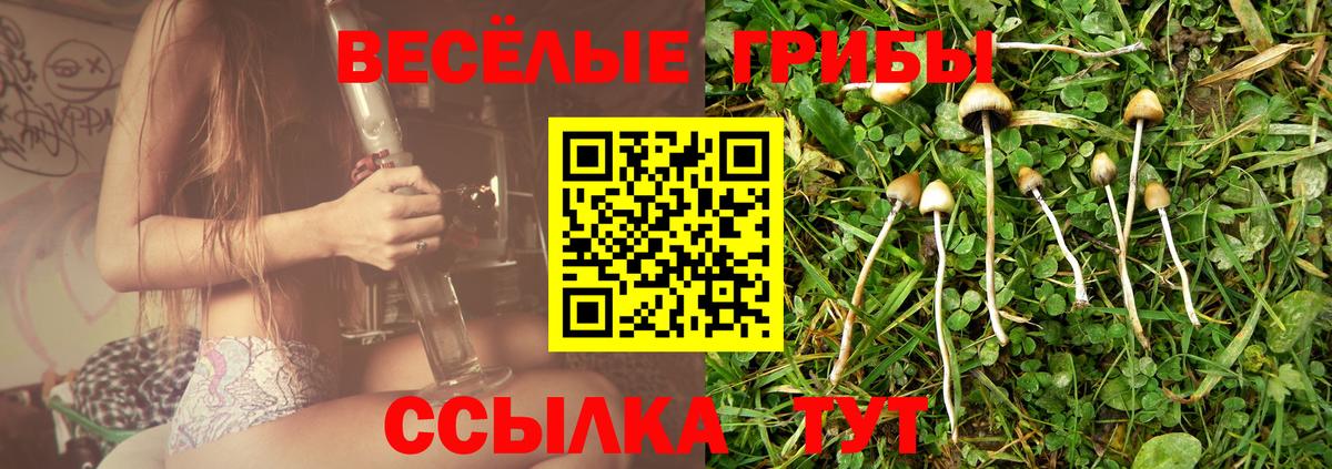 Ртищево  Псилоцибиновые грибы ЛСД  Вход с VPN 