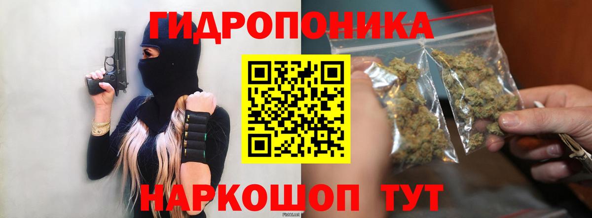 Шишки марихуана индика Ртищево
